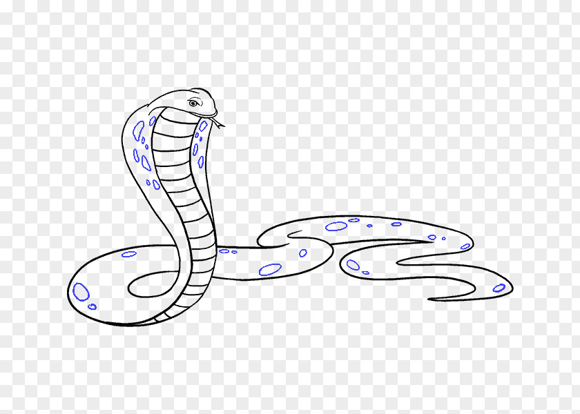 Irregular Lines Snake Drawing King Cobra Cartoon PNG