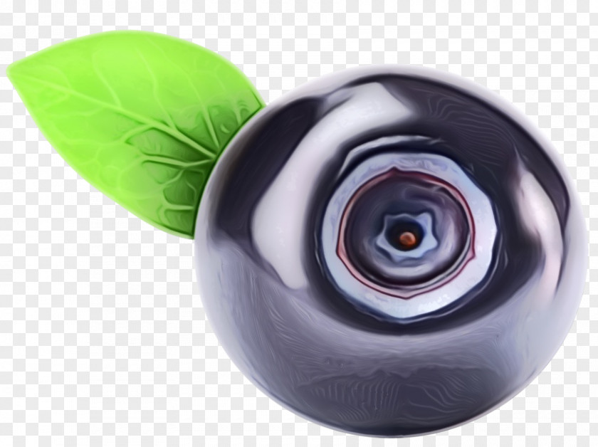 Eye Plant PNG