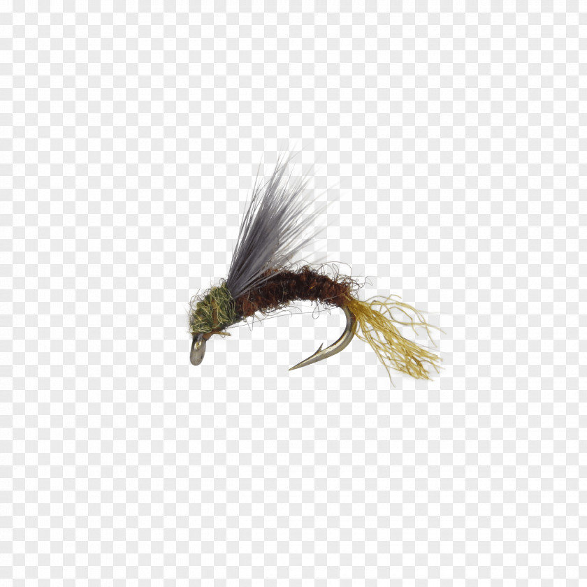 Flying Nymph Baetis Insect Fly Fishing Artificial PNG