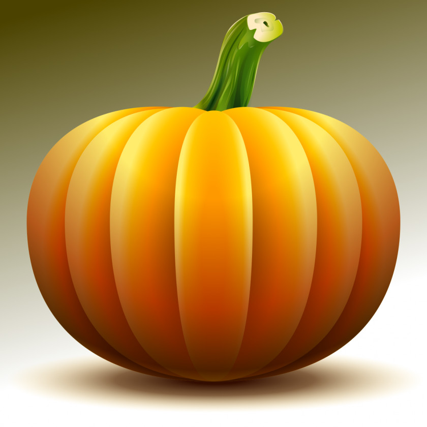 Pumpkin Vector Jack-o'-lantern Pie Gourd Drawing PNG
