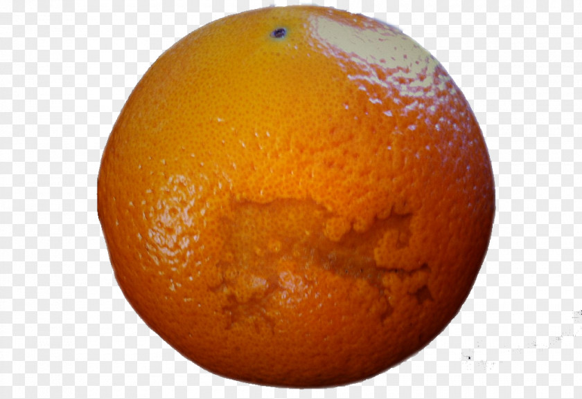 Scars Of Oranges Clementine Orange Tangerine Scar PNG