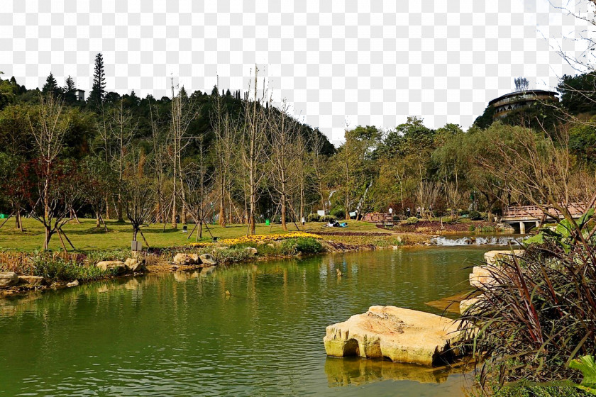 Tianhe Lake Scenic Spot Pond Water Resources Wetland Tree Recreation PNG