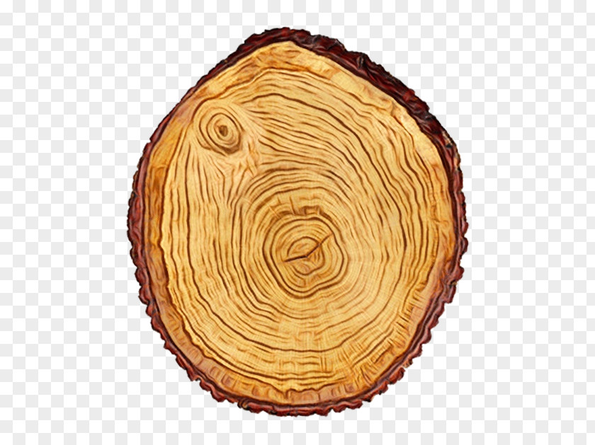 Wood Cuisine Tree Dish Food Pie Baked Goods PNG