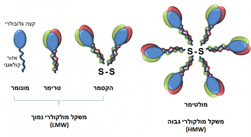 Adiponectin Structure Pixel Computer File PNG