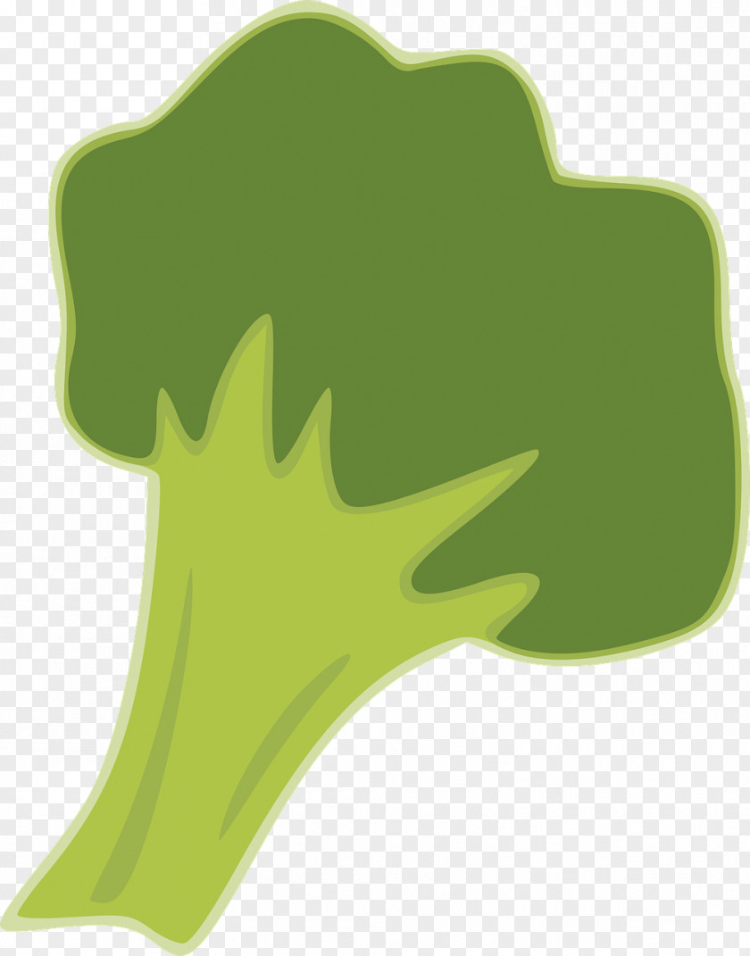 Broccoli Vegetable Brassica Juncea Food PNG