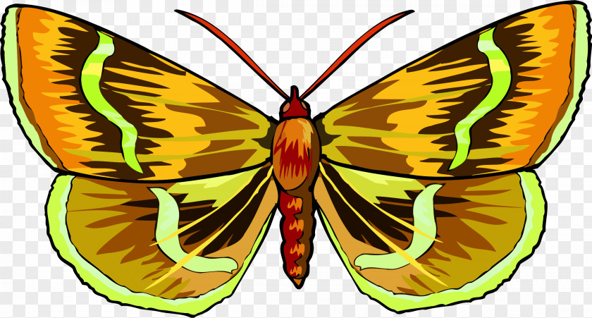 Butter Butterfly Clip Art PNG