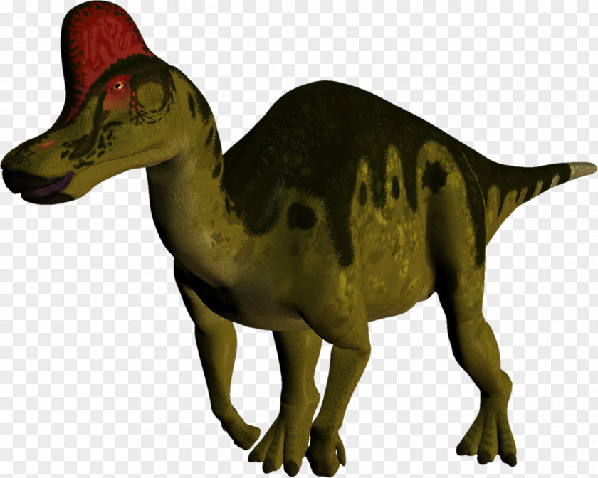 Dinosaur Velociraptor Tyrannosaurus Fauna Extinction PNG