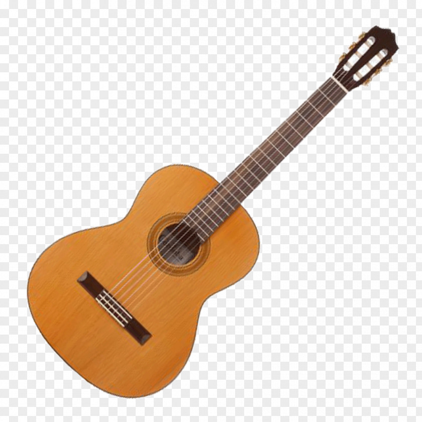 Seagul Classical Guitar Yamaha C40 Corporation Acoustic PNG
