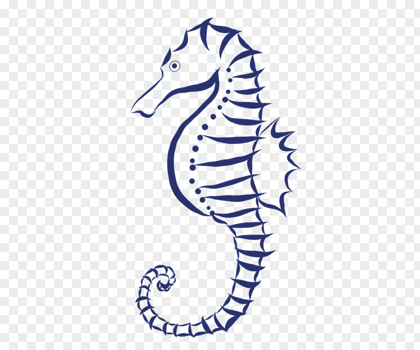 Seahorse Northern Fish Line Art PNG