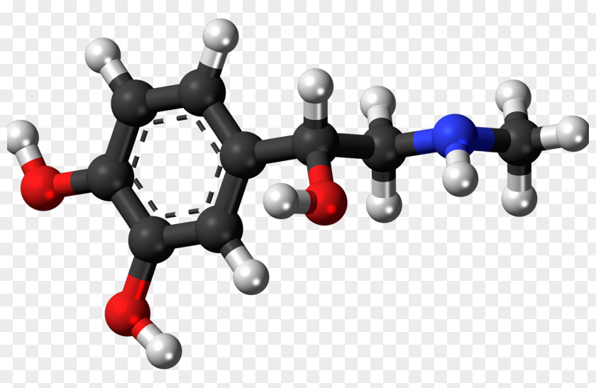 Adrenaline Cortisol Norepinephrine Hormone PNG
