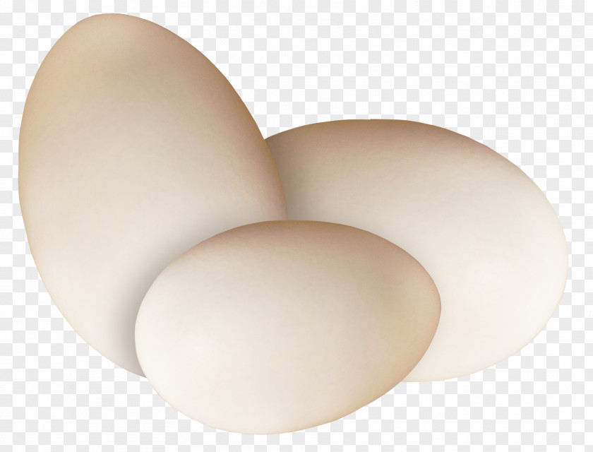Beautiful Brown Egg Lighting PNG