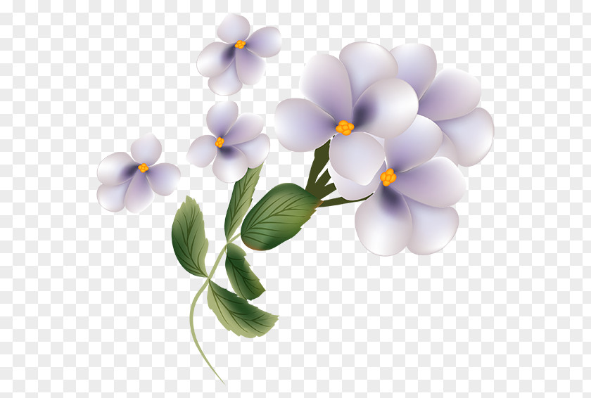 Flower Petal Clip Art PNG