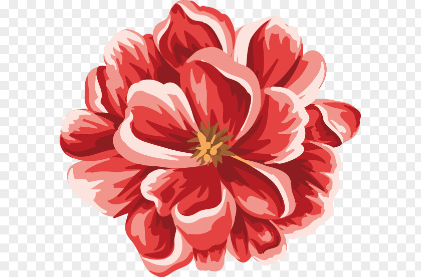 Vector Flowers Flower Red PNG