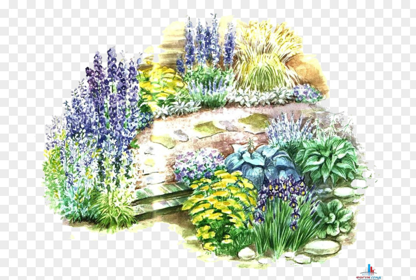 Design Garden Floral Landscape PNG