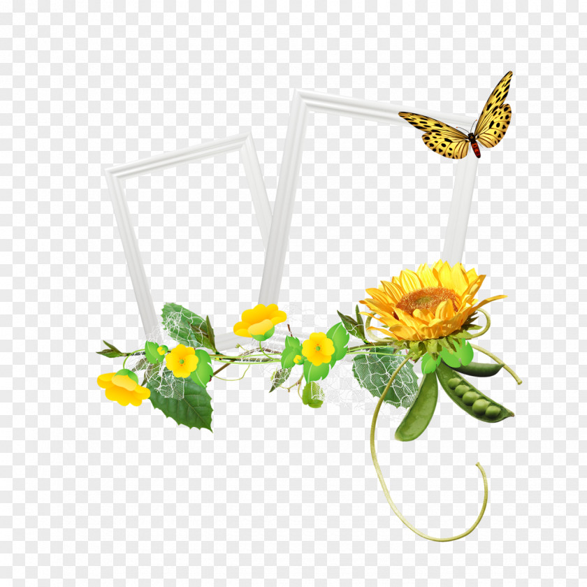 Wildflower Cut Flowers Background PNG
