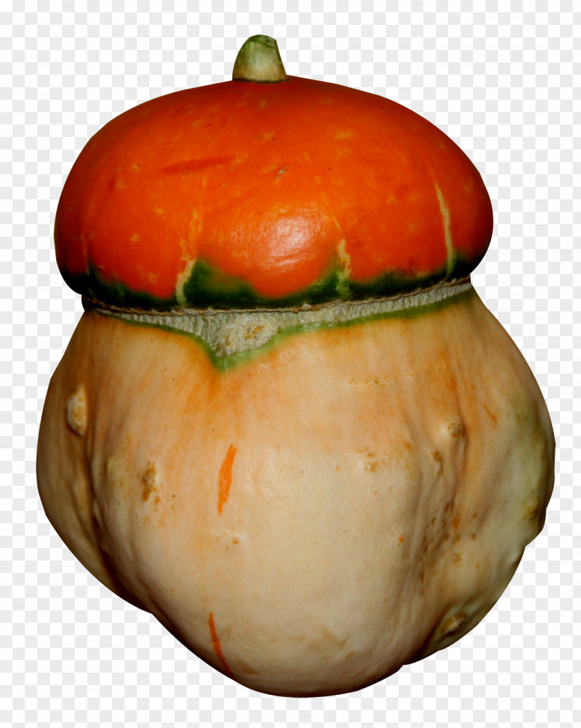 Creative Pumpkin Great Winter Squash Calabaza Vegetarian Cuisine PNG