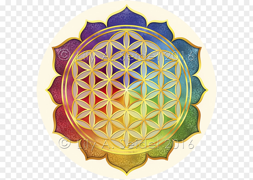 Flower Sacred Geometry Overlapping Circles Grid Nelumbo Nucifera Decal PNG