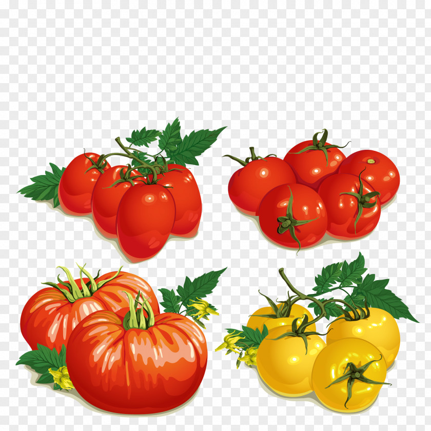Food Tomatoes Cherry Tomato Soup Vegetable PNG