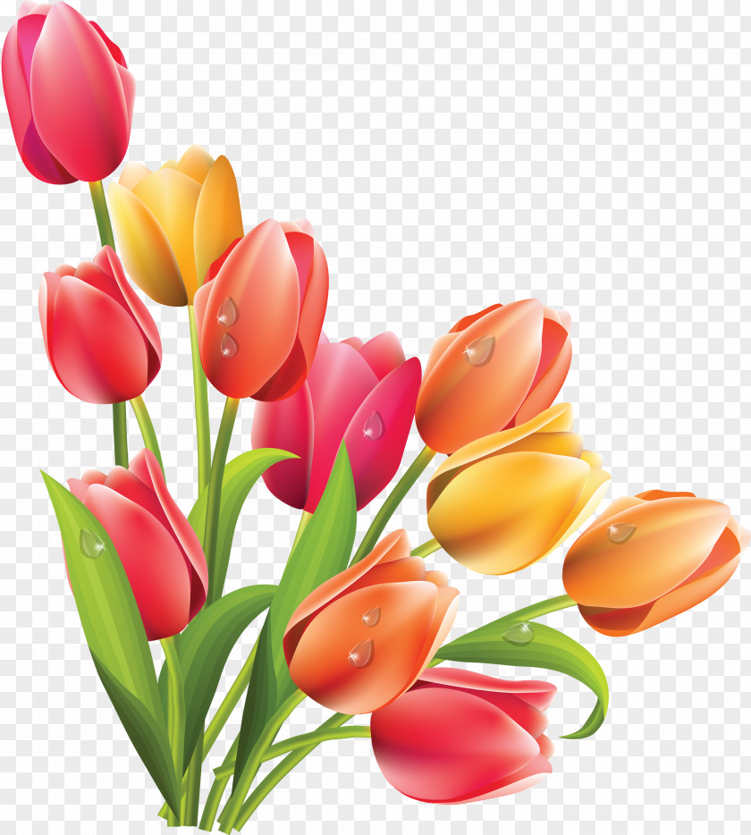 Frangipani Easter Bunny Lily Flower Clip Art PNG