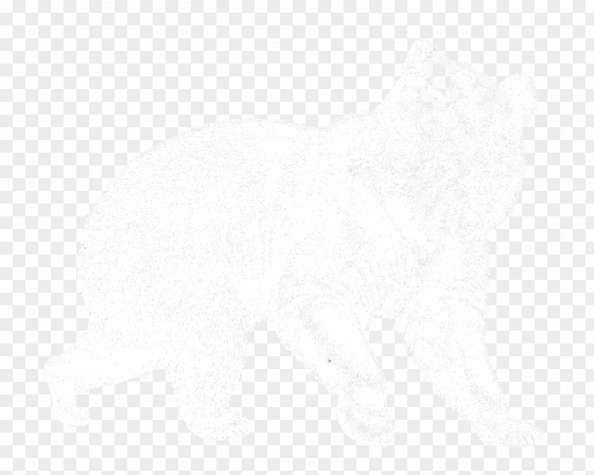 Line White Material PNG