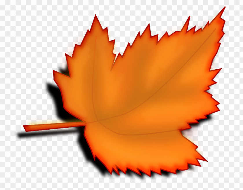 Maple Vector Desktop Wallpaper Clip Art PNG