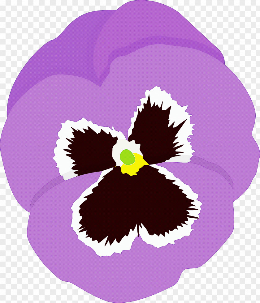 PANSY Spring Flower PNG
