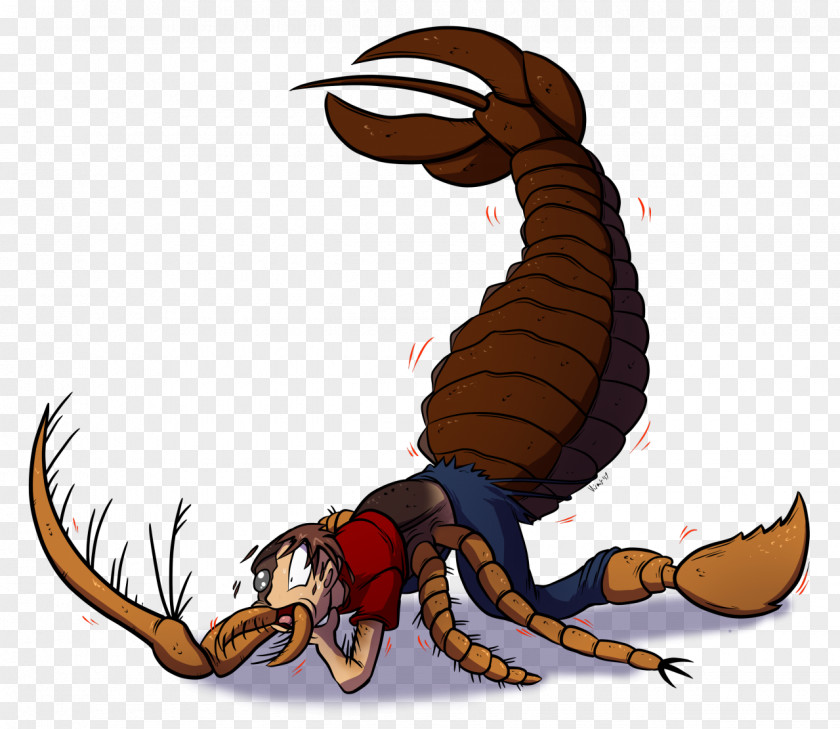 Scorpions Scorpion Megalograptus Eurypterid Cameroceras Arthropod PNG