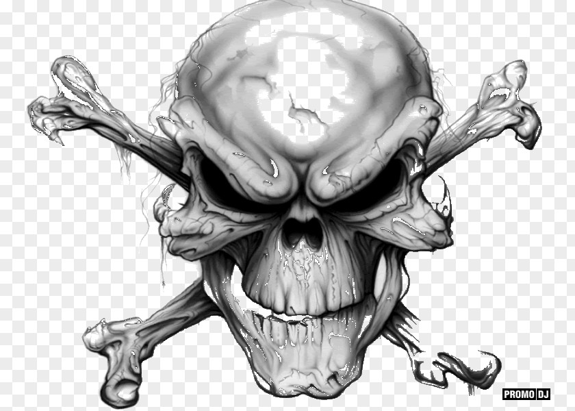 Skull And Bones Human Symbolism Crossbones PNG