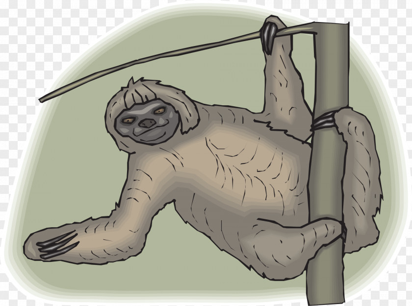 Sloth Brown-throated Clip Art PNG