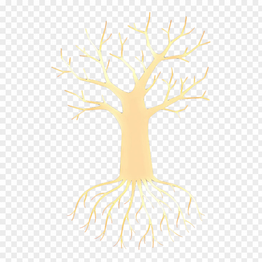 Tree Woody Plant Branch Root PNG