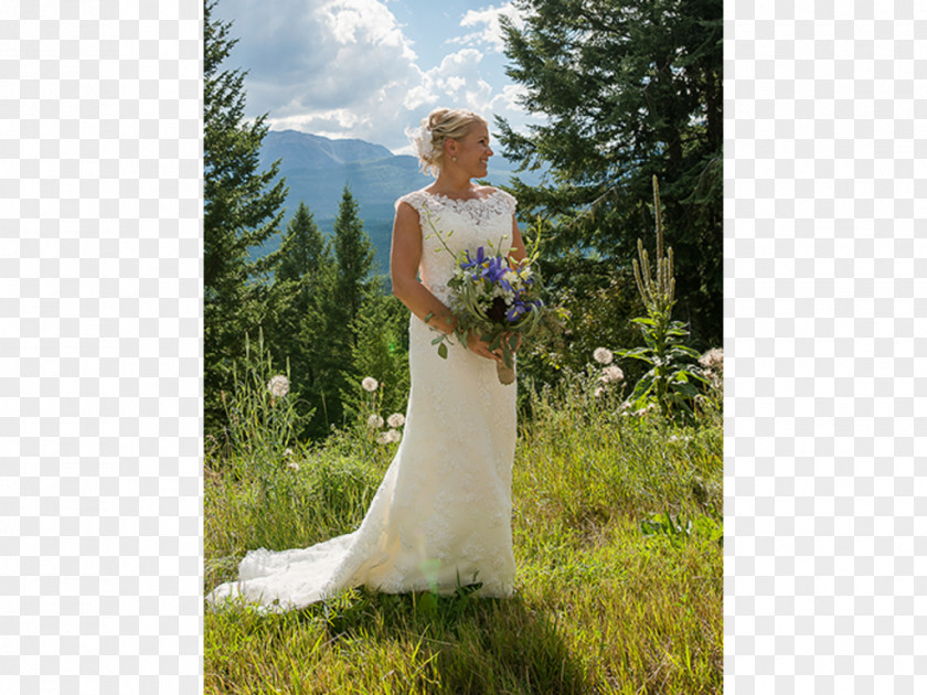 Wedding Dress Bride Photo Shoot PNG