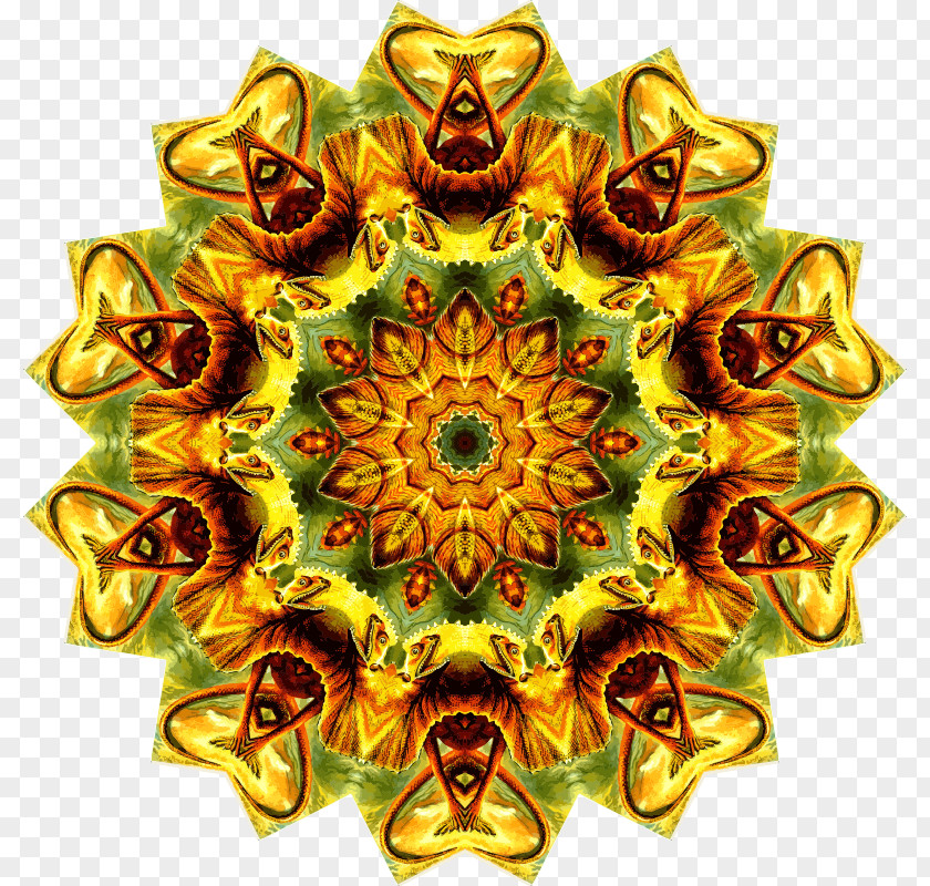 Wedges Art Forms In Nature Symmetry Visual Arts Pattern Lizard PNG