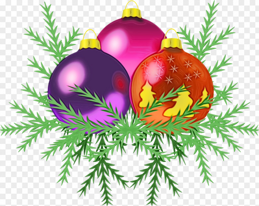 Conifer Christmas Tree Ornament PNG