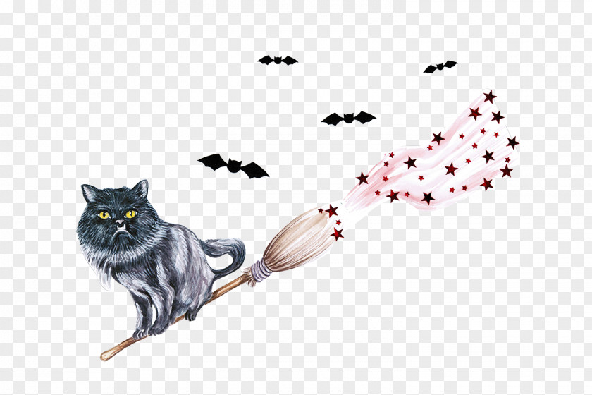 Hand Painted Watercolor Cute Cat Witch Kitten Whiskers Painting PNG