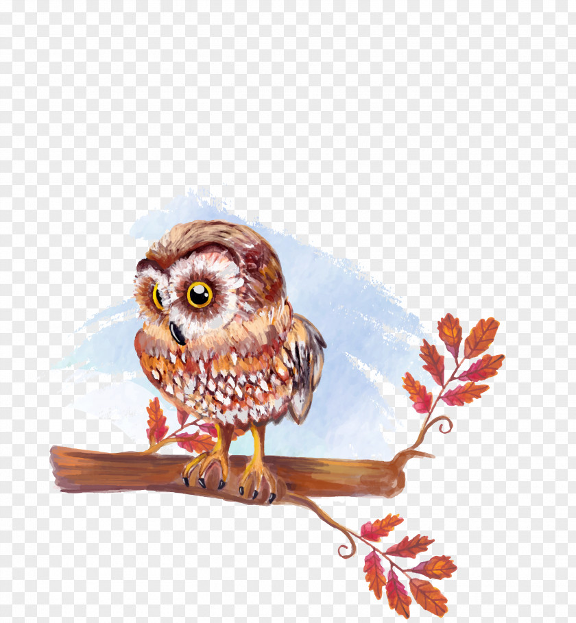 Vector Material Hand-painted Owl Watercolor Painting Drawing Illustration PNG