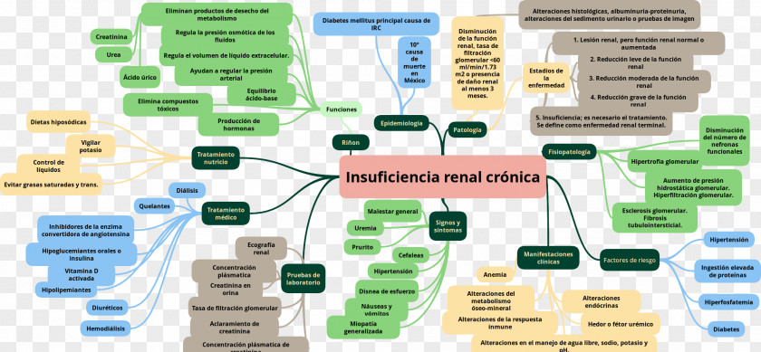 Acute Kidney Failure Chronic Disease Heart PNG