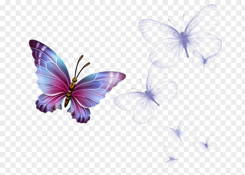 Butterfly Monarch Greta Oto Clip Art PNG