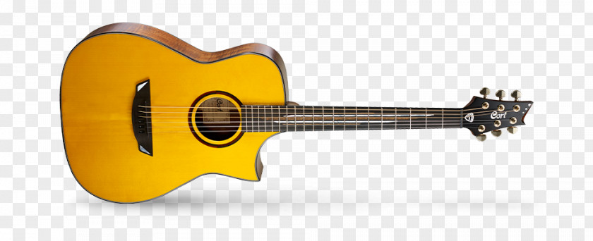 Guitar Cort Guitars Acoustic Guitarist Acoustic-electric PNG