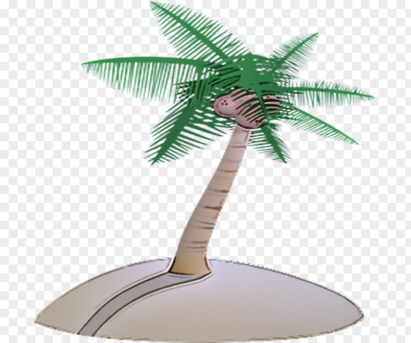 Leaf Plant Palm Tree PNG