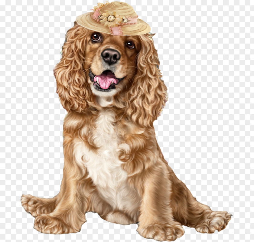 Puppy English Cocker Spaniel American Field PNG