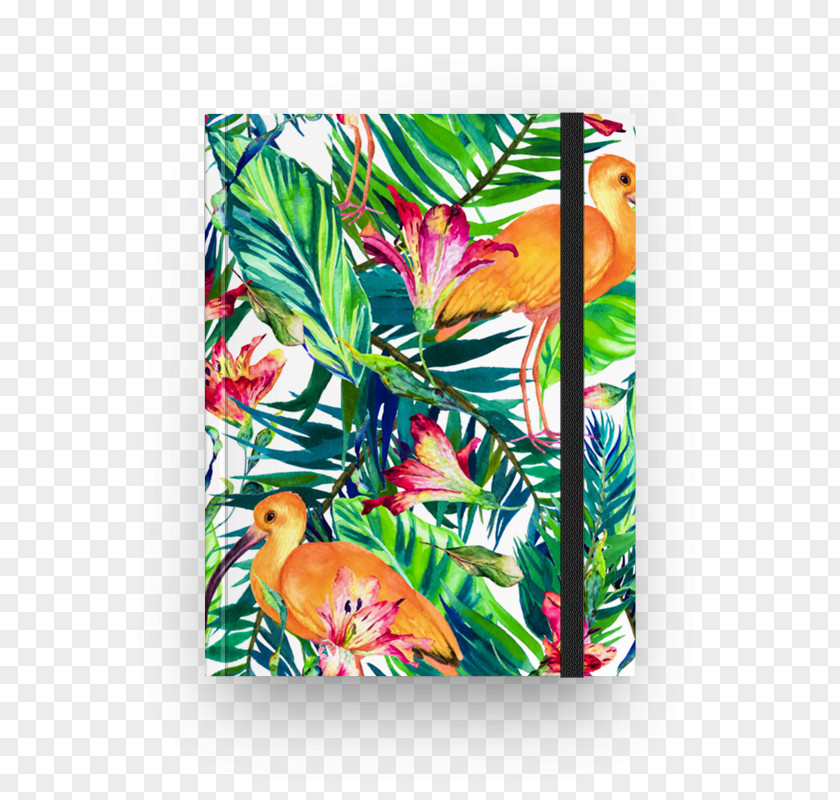 Bird Rectangle Flower Tropics PNG