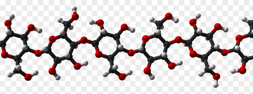 Cellulose Polysaccharide Beta-glucan Molecule PNG