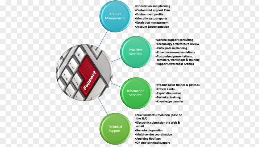 Customized Software Development Diagram Brand Information Service PNG