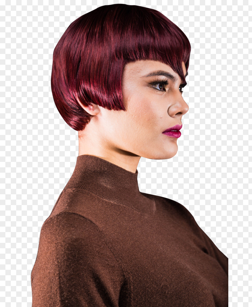Hair Beauty Parlour Hairstyle Cosmetics Brown PNG