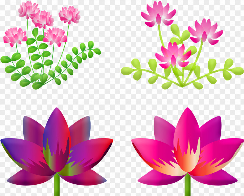 Summer Flowers Banner Lotus Flower Nymphaea Nelumbo Image Photography PNG