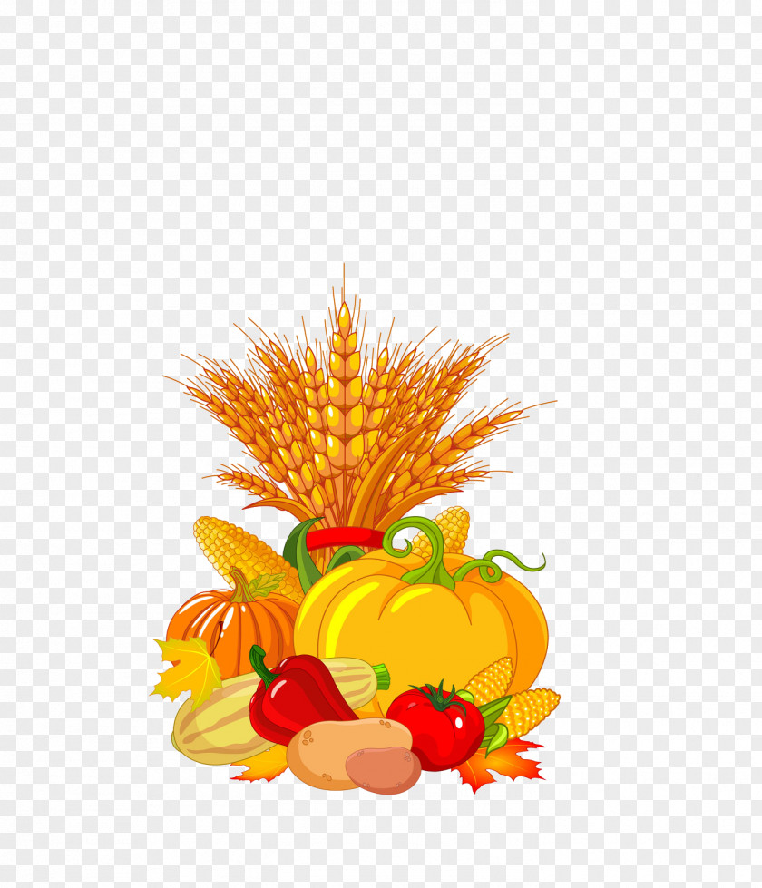 Vegetable Harvest Autumn Festival Clip Art PNG
