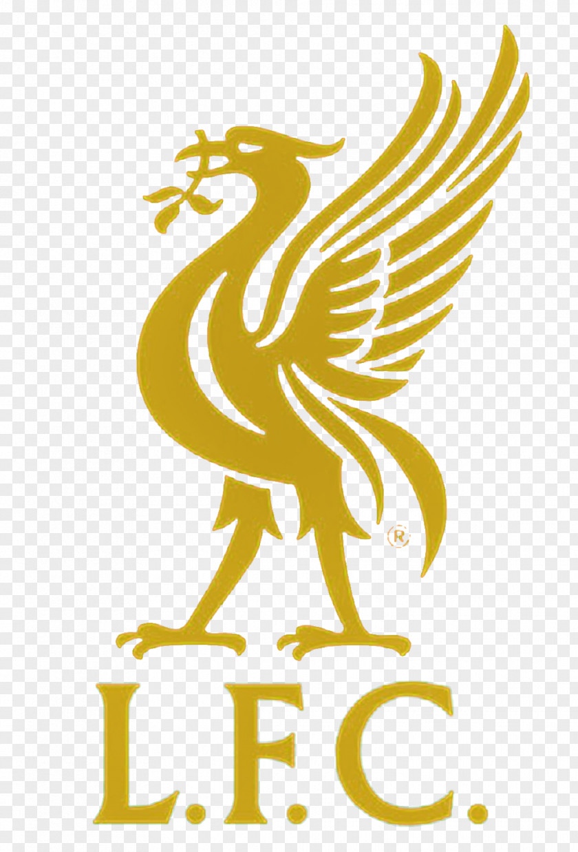 Football Liverpool F.C. Anfield L.F.C. T-shirt PNG