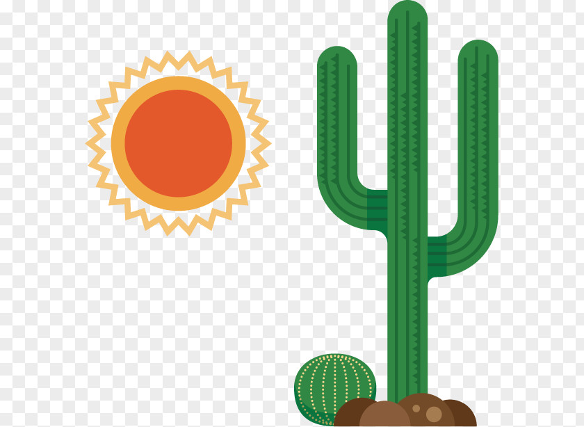 Mexican Cactus Information Icon PNG