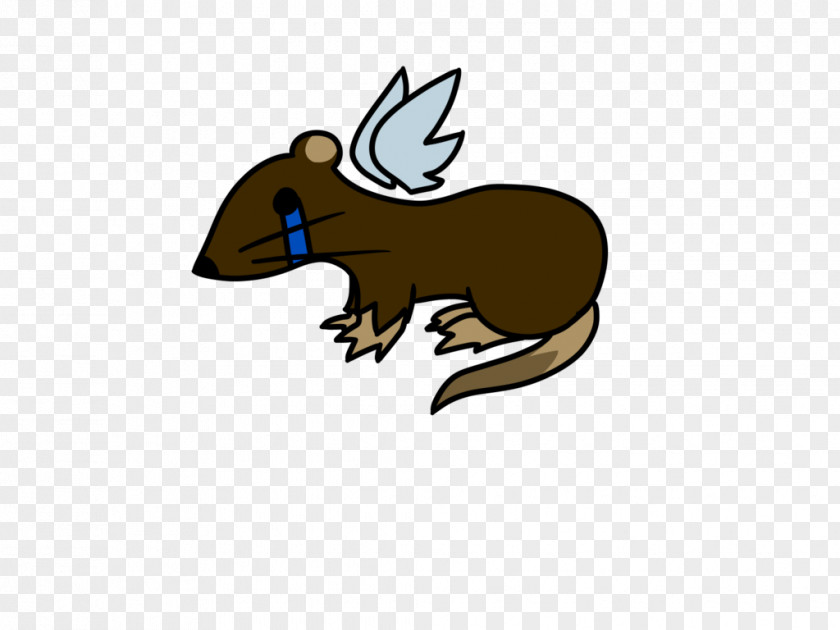 Rat & Mouse Macropodidae Rodent Mammal Beaver PNG