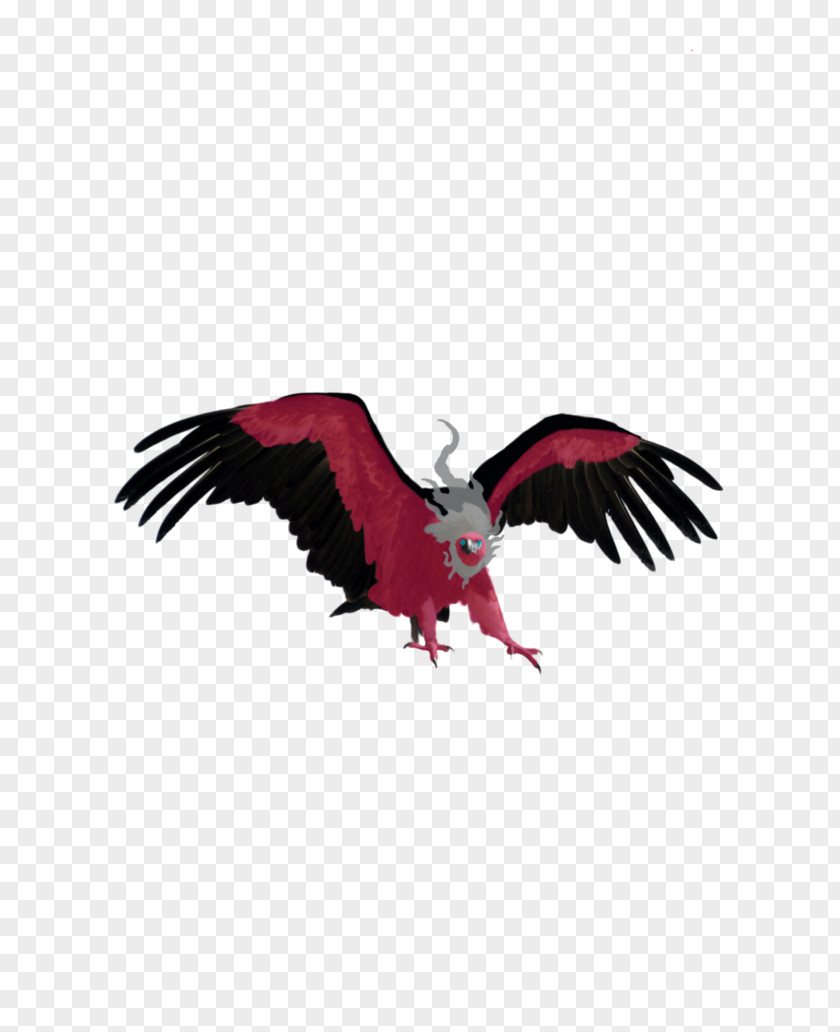 Realism Eagle Vulture Bird PNG